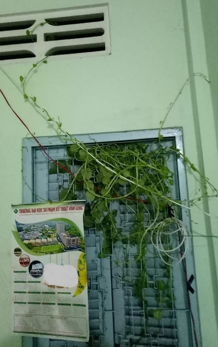 Chưa kể nhiều sinh viên cũng chưa lường trước được độ dài ngày của giãn cách vì dịch bệnh này nên đã chủ quan không thu dọn kỹ càng mọi thứ.