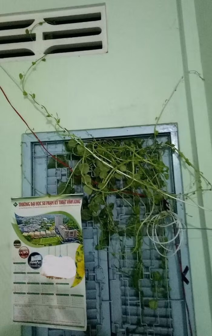 Chưa kể nhiều sinh viên cũng chưa lường trước được độ dài ngày của giãn cách vì dịch bệnh này nên đã chủ quan không thu dọn kỹ càng mọi thứ.