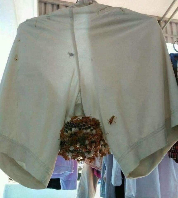 Câu chuyện trở lại phòng trọ sinh viên sau thời gian về quê tránh dịch và gặp phải tình cảnh oái oăm đã không còn gì xa lạ.