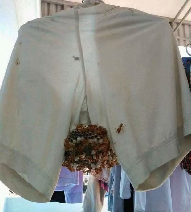 Câu chuyện trở lại phòng trọ sinh viên sau thời gian về quê tránh dịch và gặp phải tình cảnh oái oăm đã không còn gì xa lạ.