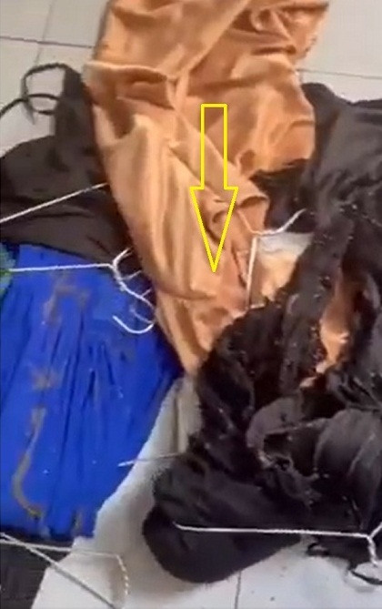 Mặc dù khổ chủ đang khóc ròng vì phải vứt đi đống quần áo, thế nhưng sau khi chứng kiến cảnh tượng này netizen lại không khỏi bật cười khi thấy những bộ quần áo không còn nguyên vẹn chuẩn bị bay vào thùng rác.