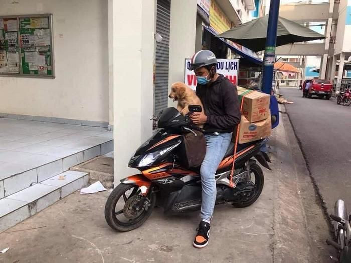 Ngồi trong thùng cát tông, chui trong cặp, "phượt" xe máy hay sang chảnh hơn là nằm ô tô khách về quê,... đó là muôn vạn cách mà hội nuôi thú cưng nghĩ ra để đưa "boss" về quê.