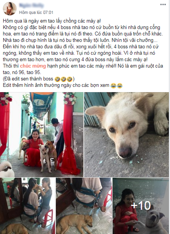 Không khác gì trường hợp trên, loạt hình ảnh cùng câu chuyện về những chú chó đáng yêu trong gia đình cô gái có nick name Ngân Nelly đã nhanh chóng thu hút đông đảo sự chú ý từ mọi người.