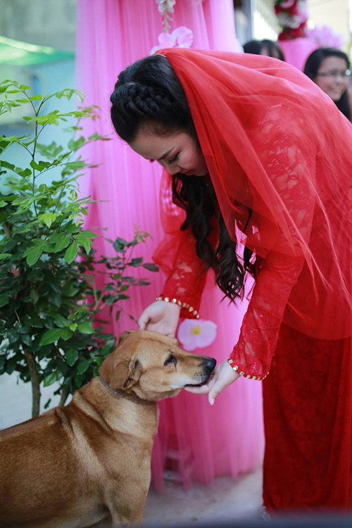 Chú chó tên Ki này khóc ướt mắt trong ngày đám cưới cô chủ, hình ảnh được chia sẻ trên Facebook từng nhận về sự quan tâm cực lớn, khiến nhiều cư dân mạng xúc động.