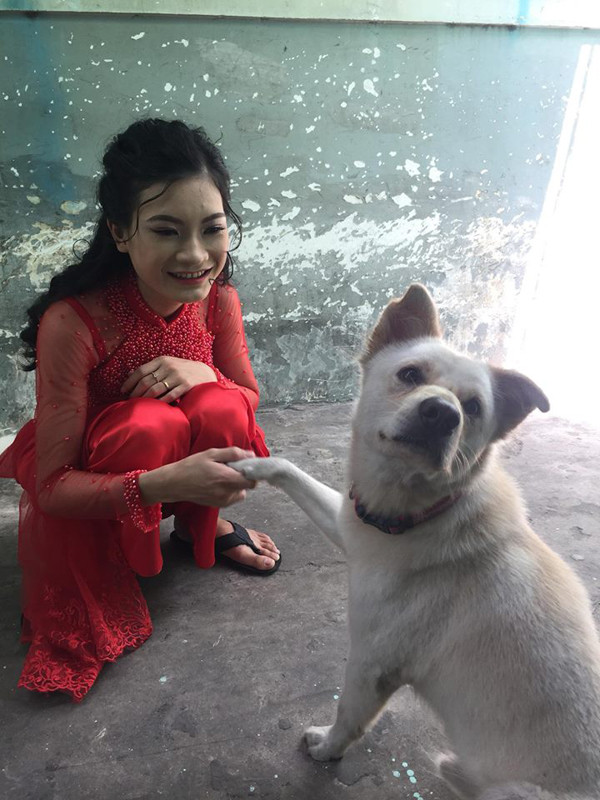 Trong đám cưới của cô chủ, 4 chú chó trở thành nhân vật chính cứ quấn quýt mãi không nỡ rời bước, thậm chí còn có những biểu cảm "hờn dỗi" khiến ai cũng bật cười vì đáng yêu.