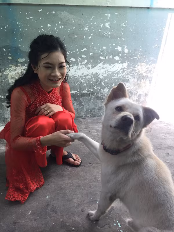 Trong đám cưới của cô chủ, 4 chú chó trở thành nhân vật chính cứ quấn quýt mãi không nỡ rời bước, thậm chí còn có những biểu cảm "hờn dỗi" khiến ai cũng bật cười vì đáng yêu.