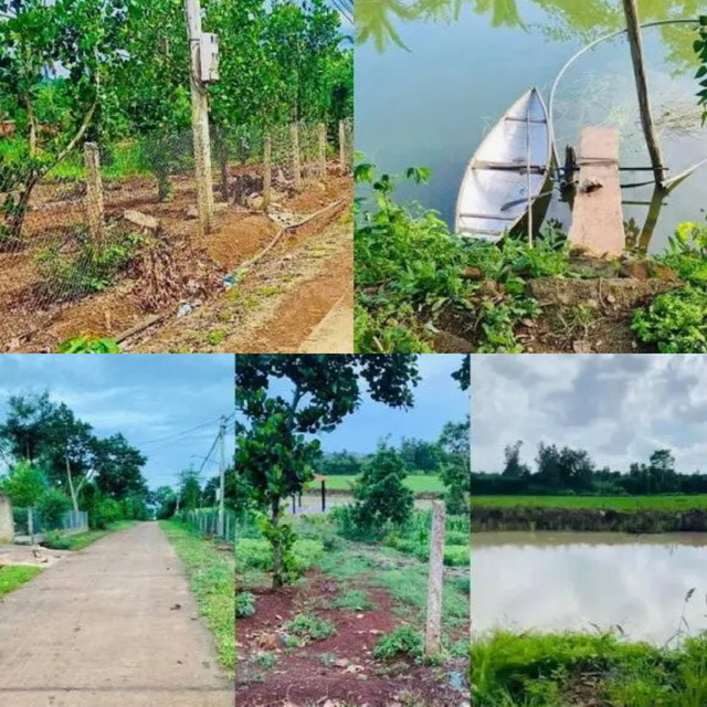 Trước đó, Midu từng đăng bán 7.000m2 đất thổ cư ở Buôn Mê Thuột khiến cư dân mạng trầm trồ