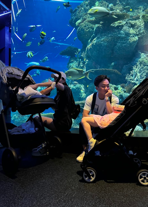 Vợ chồng Đàm Thu Trang thường xuyên đưa các con đi du lịch.