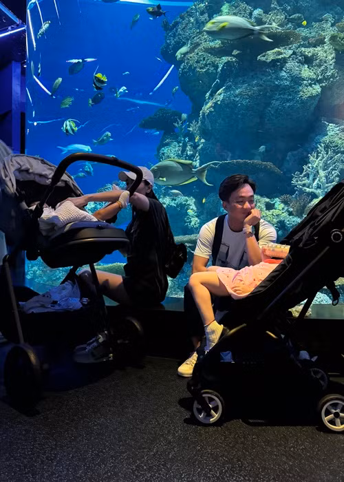 Vợ chồng Đàm Thu Trang thường xuyên đưa các con đi du lịch.