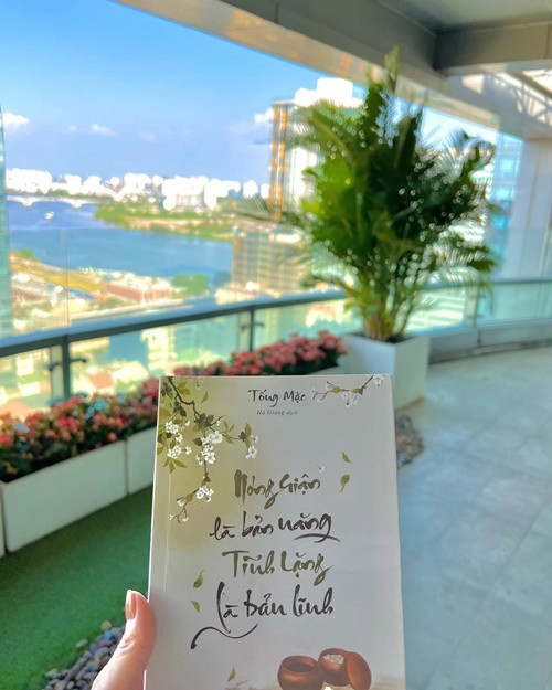 Căn biệt thự có view bao trọn thành phố. Tại ban công, Thu Thảo trồng nhiều hoa, cây xanh. Ảnh: FBNV.
