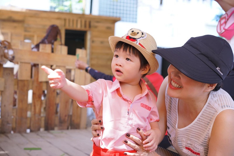 Vì ngoài 40 tuổi, lại muốn dành nhiều thời gian cho hai con trai, Lê Khánh quyết định dùng biện pháp triệt sản nữ.