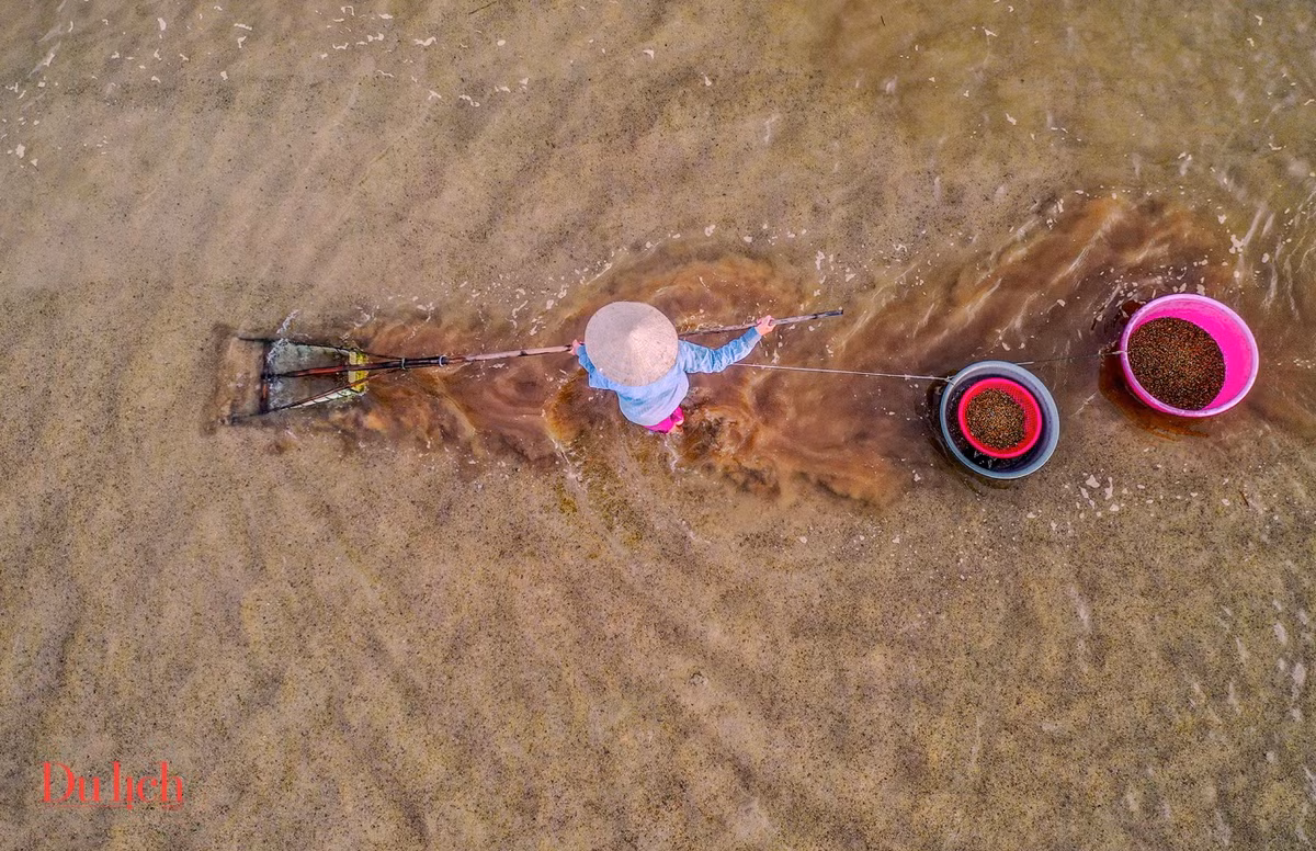 Từ buổi sáng sớm, người dân ở xã Nghĩa Phú, TP Quảng Ngãi đã ngâm mình trong nước cào don (loài nhuyễn thể sống ở gần cửa biển) để mưu sinh bên những cồn cát.