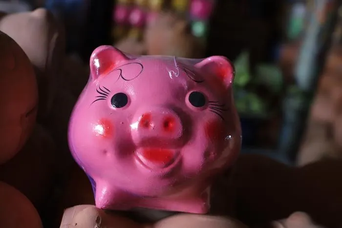 Sản phẩm heo đất.