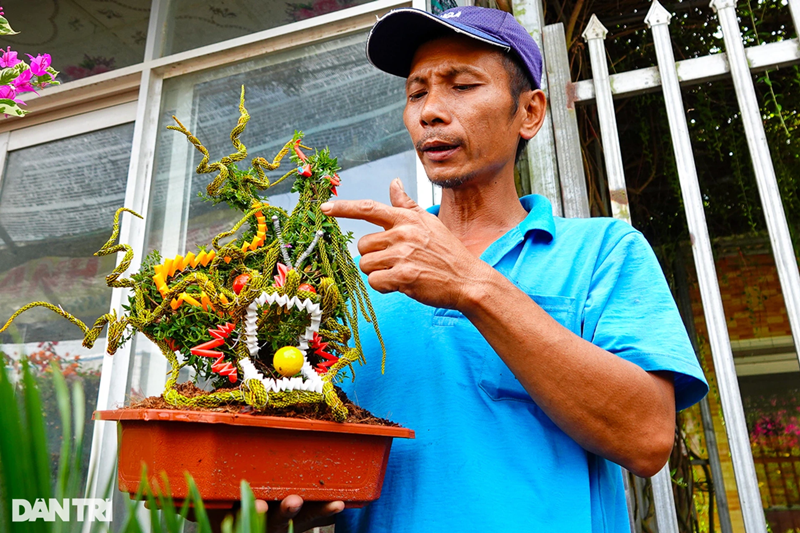 Theo anh Duy, mỗi ngày có thể làm được 6 chậu. Do cẩm tú mai là cây thân bụi, dễ uốn nắn nên không mất nhiều công tạo hình. Các phụ kiện trang trí cũng dễ tìm nên giá thành sản phẩm khá "hạt dẻ", rồng đơn là 75.000 đồng/chậu, long phụng là 150.000/chậu."Năm nay kinh tế khó khăn, người dân ngại mua sắm nên mình làm chậu rồng nhỏ, giá thành cũng rẻ sẽ hợp túi tiền của người tiêu dùng. Số chậu tôi làm đã có khách đặt. Bây giờ tôi đang thực hiện thêm đơn cho khách mới", anh Duy bày tỏ.