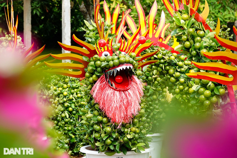 Tết Giáp Thìn 2024, anh Trí làm 50 chậu tắc kiểng hình rồng, giá 5 triệu đồng/cặp. Mỗi chậu rồng có kích thước hơn 1m. Tắc dùng tạo hình linh vật được trồng từ nhiều tháng trước và đã cho nhiều trái. Nghệ nhân sau đó sẽ dùng sắt hàn định hình phần đầu, thân, lưng và đuôi rồng, rồi chọn những bụi tắc thân chắc khỏe, sai quả dùng kẽm bện vào khung. Để tạo hình khuôn mặt, thợ lấy bóng nhựa sơn làm mắt, lò xo làm râu, decal làm sừng, miệng. Bình quân mỗi con rồng tắc kiểng cao hơn 1m mất khoảng 1-2 ngày công để hoàn thành.