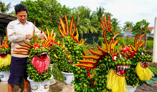 Thâm niên sản xuất hoa Tết 20 năm, Tết nào, linh vật nấy, anh Lê Văn Trí ngụ xã Hưng Khánh Trung B (huyện Chợ Lách, Bến Tre) thường làm linh vật bằng tắc kiểng phục vụ nhu cầu trang trí cho năm mới.