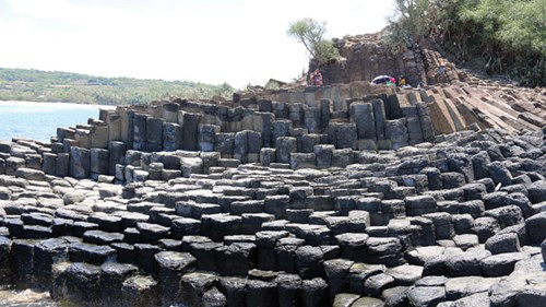 Ngam “to ong” khong lo, dai tram met ven bien Phu Yen