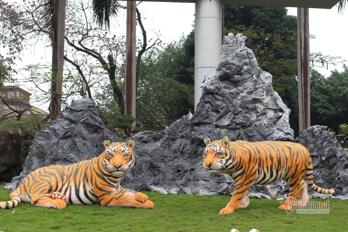 Chết cười linh vật Tết con Hổ: Chỗ khen hết lời, nơi chê “sấp mặt“ - Hình 2 Chet cuoi linh vat Tet con Ho: Cho khen het loi, noi che “sap mat“-Hinh-2