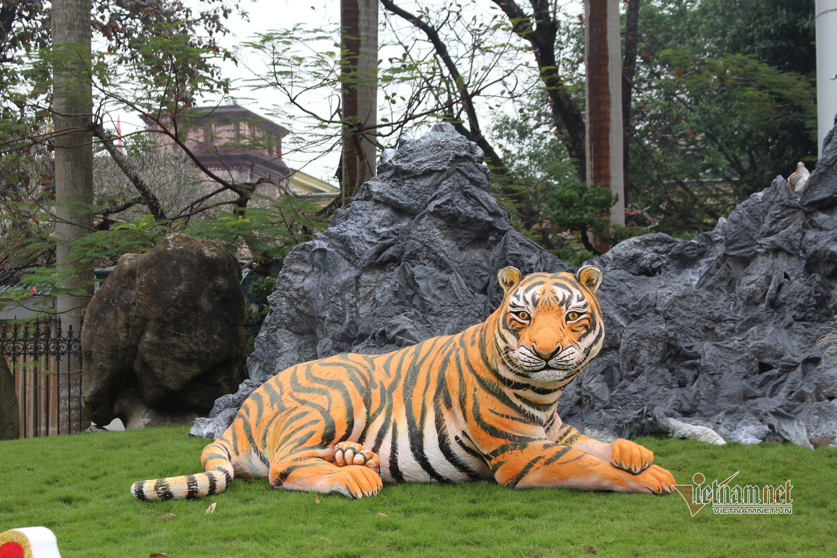 Chết cười linh vật Tết con Hổ: Chỗ khen hết lời, nơi chê “sấp mặt“ - Hình 3 Chet cuoi linh vat Tet con Ho: Cho khen het loi, noi che “sap mat“-Hinh-3