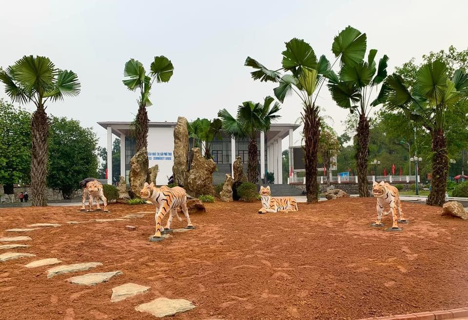 Còn đây là những chú hổ vàng được làm bằng sứ đặt trong khuôn viên của một nhà văn hóa ở tỉnh Phú Thọ. 