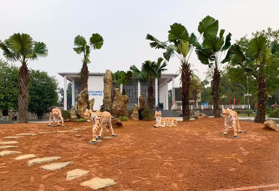 Còn đây là những chú hổ vàng được làm bằng sứ đặt trong khuôn viên của một nhà văn hóa ở tỉnh Phú Thọ. 