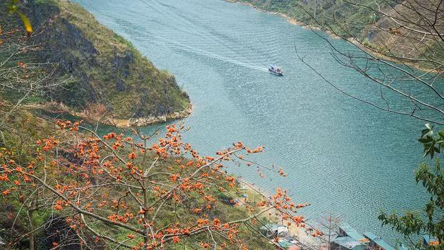 Sông Nho Quế chảy trên dải đất Việt Nam khoảng 46 km, qua lớp đá tai mèo lởm chởm của hệ thống công viên địa chất toàn cầu cao nguyên đá Đồng Văn, tạo nên dòng chảy mạnh với vô số thác ghềnh trắng xóa. (Ảnh: Dân Trí)