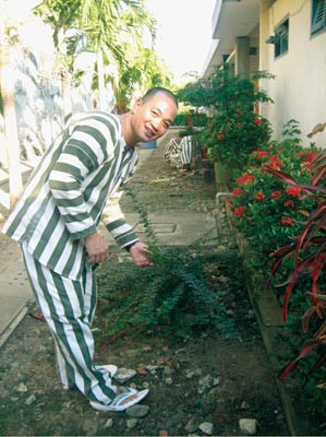 Trong tù, Hải thể hiện là người rất yêu thương vợ con. Ông ta lo lắng sau khi ra tù sẽ không có tư cách để dạy dỗ con. "Cuộc đời tôi thì coi như bỏ, nhưng tôi không muốn con tôi sẽ đi theo con đường của mình" - Hải "Bánh" tâm sự. 