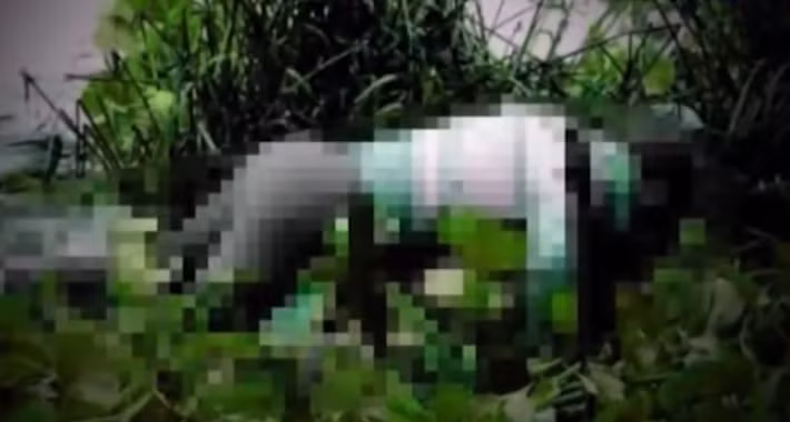 Hanh trinh pha an: Nu sinh bi sat hai da man, vut xac xuong suoi-Hinh-2