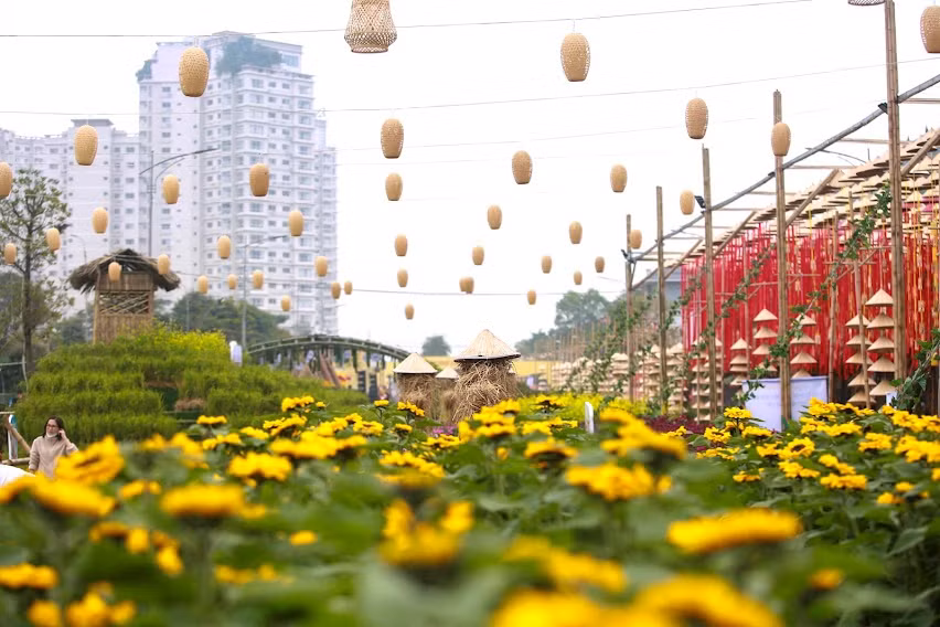 Đây sẽ là sự kiện nằm trong chuỗi hoạt động thường niên của Sovico với mục đích xây dựng đề án hình thành, mở rộng tuyến phố đi bộ, không gian văn hóa sáng tạo trên địa bàn thành phố Hà Nội theo Chương trình 03 của Thành ủy Hà Nội khóa 17.