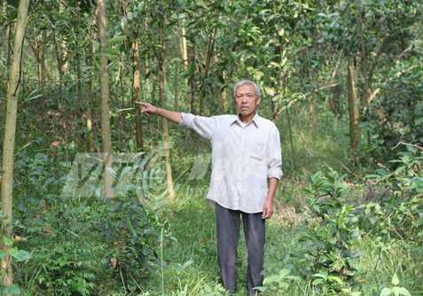 Ky 3: “Than ho xam o Thanh Hoa“: “Ac thu” an thit hai thieu nu-Hinh-2