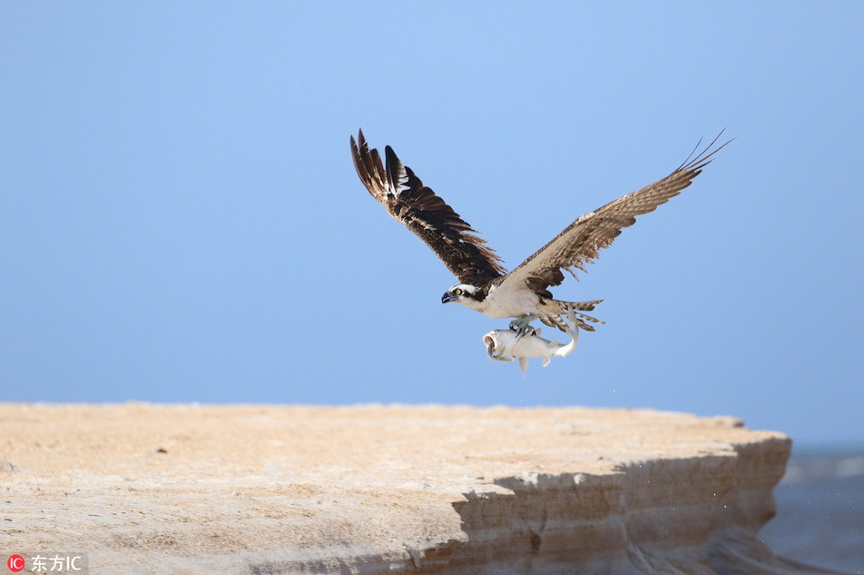 Khoanh khac ung bien san giet trung qua 