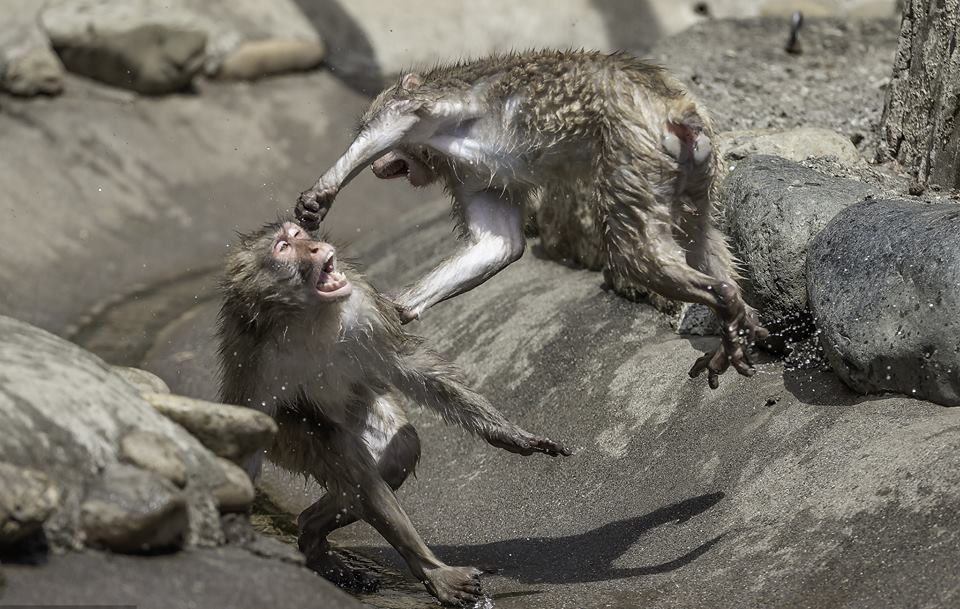 Khi tuyet dien cuong danh nhau giua troi nong buc