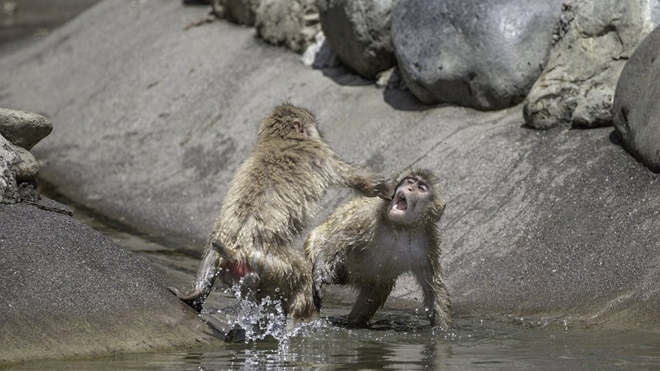 Khi tuyet dien cuong danh nhau giua troi nong buc-Hinh-5