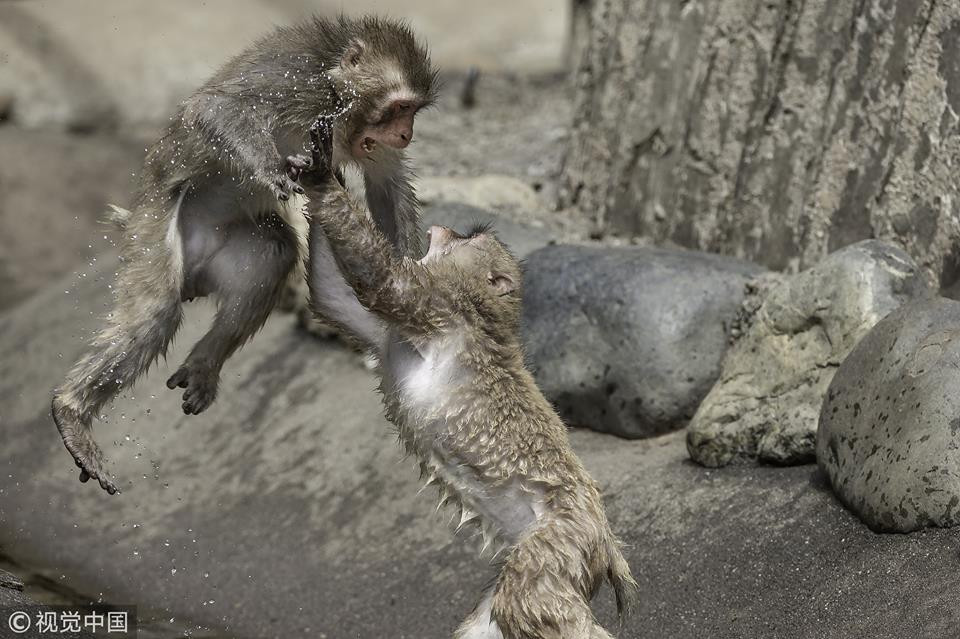 Khi tuyet dien cuong danh nhau giua troi nong buc-Hinh-4