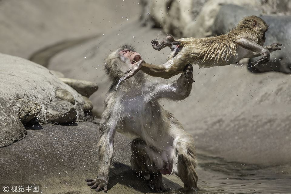 Khi tuyet dien cuong danh nhau giua troi nong buc-Hinh-3