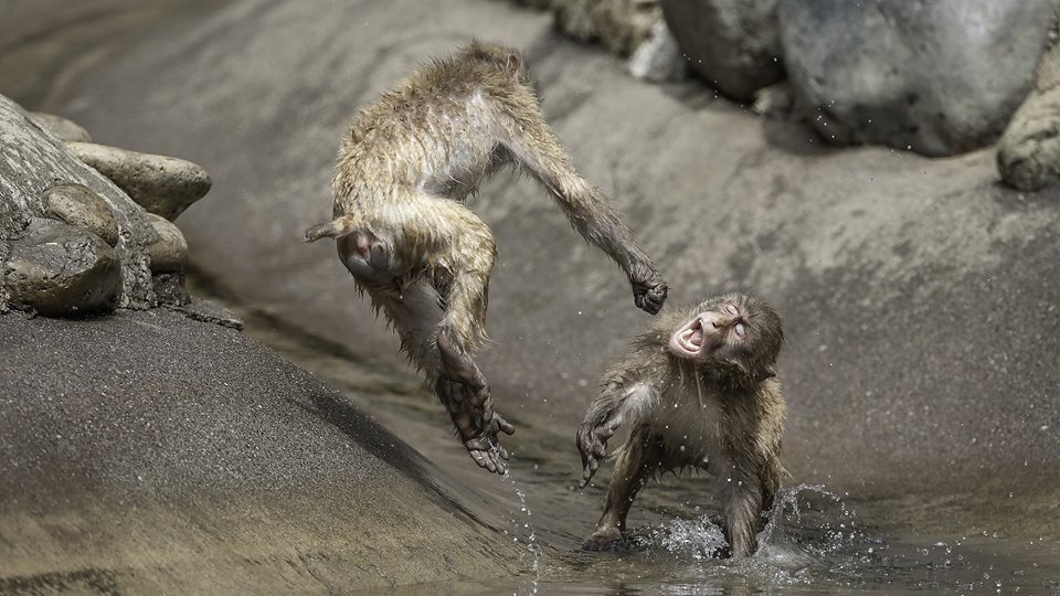 Khi tuyet dien cuong danh nhau giua troi nong buc-Hinh-2