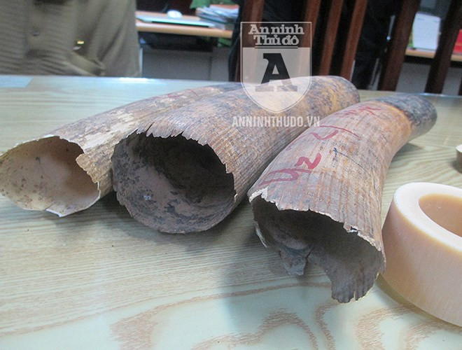 Những chiếc ngà voi sẽ được chế tác thành các món đồ trang sức, với giá bán rất cao