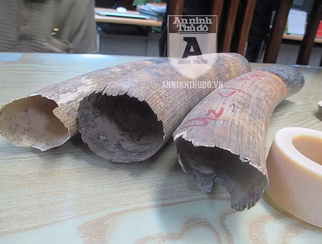 Những chiếc ngà voi sẽ được chế tác thành các món đồ trang sức, với giá bán rất cao