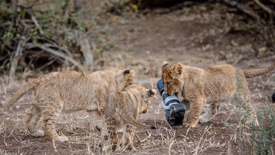 Nhiep anh gia so y, su tu cai lam dieu gay bat ngo-Hinh-2