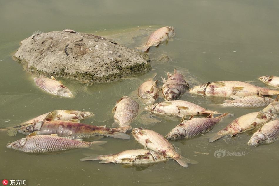 Ca chet hang loat, noi trang mat ho gay sung sot-Hinh-3