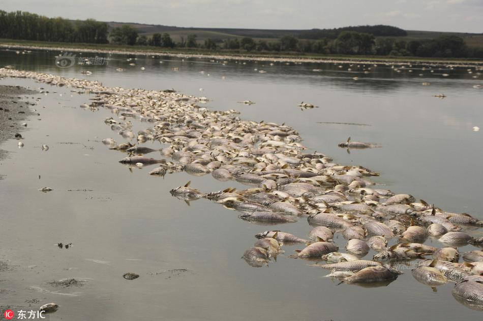 Ca chet hang loat, noi trang mat ho gay sung sot-Hinh-2