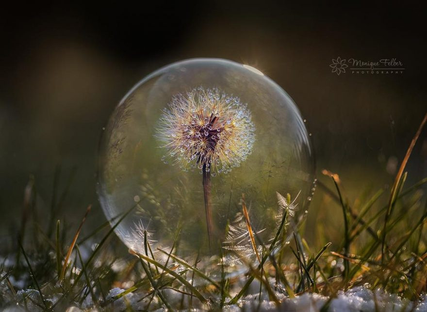 Từng tia sáng, từng góc ảnh đều được chau chuốt, khiến người xem có cảm giác mãn nhãn.