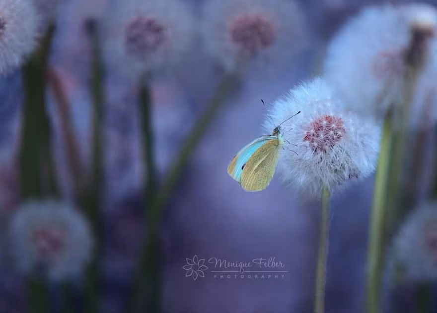 Giống như người xem đang được trải nghiệm cảm giác siêu thực.