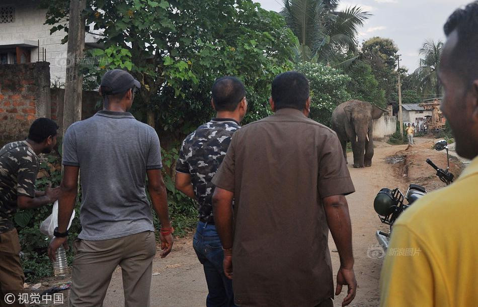 Xuat hien bat ngo, voi khong lo nao loan duong pho-Hinh-2