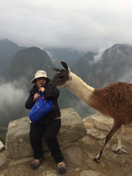 Người phụ nữ này trông giống như đang bị con lạc đà đe dọa cướp đi chiếc túi bà đang cầm.