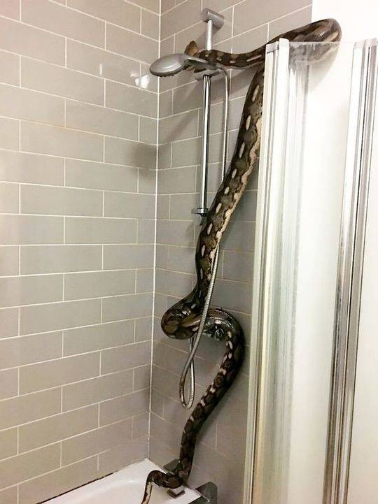 Tuong cam day cach nhiet, nguoi dan ong mu dong phai dieu kinh di-Hinh-3