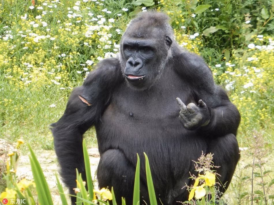 Bi lam phien, khi dot gio ngon tay lam dieu khong ngo