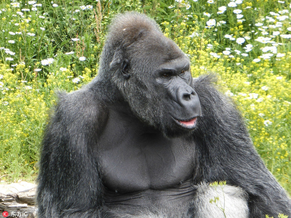 Bi lam phien, khi dot gio ngon tay lam dieu khong ngo-Hinh-2