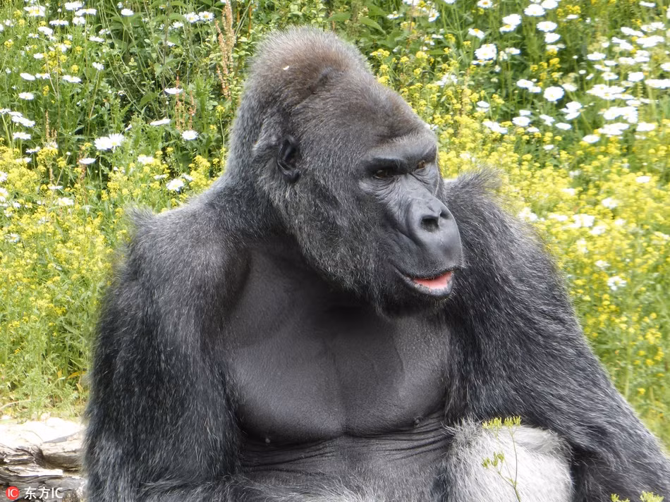 Bi lam phien, khi dot gio ngon tay lam dieu khong ngo-Hinh-2