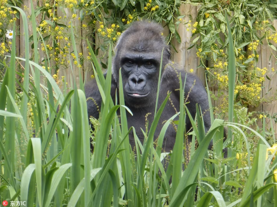 Bi lam phien, khi dot gio ngon tay lam dieu khong ngo-Hinh-4